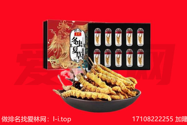 南平市顺昌回收虫草.jpg